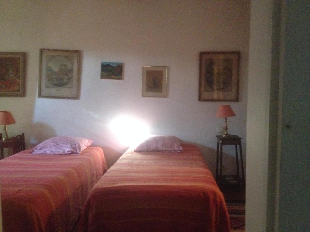 Sous l'abricotier - 11