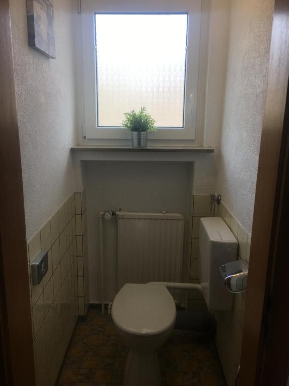 a small bathroom with a toilet and a window at Ferienwohnung Im Bachgrund in Schlitz