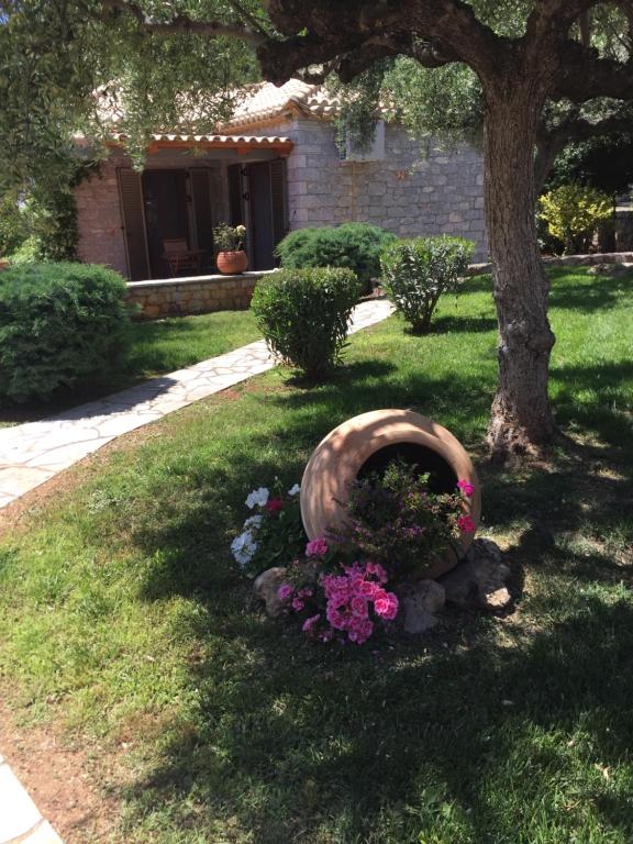 Billede fra billedgalleriet på Mouses Apartments-Kardamyli i Kardhamili