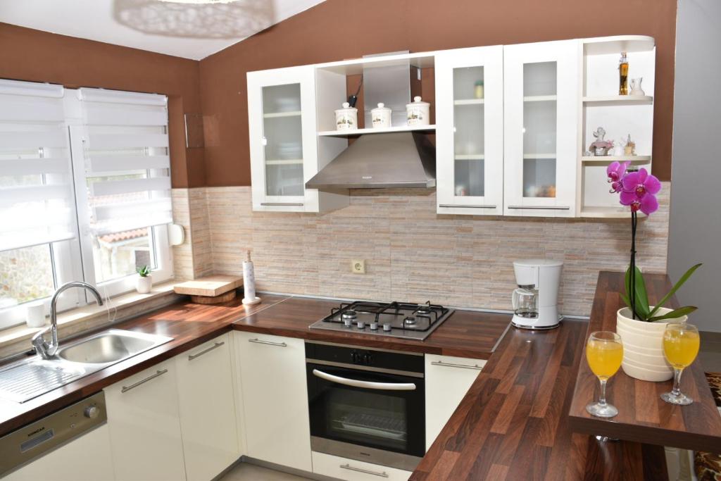 Kuchyň nebo kuchyňský kout v ubytování Apartments Piccolo Piaccere