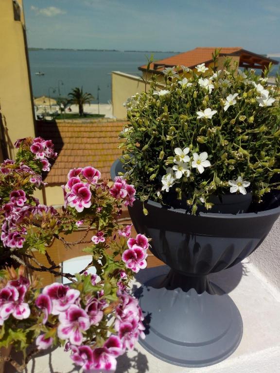 Zahrada ubytování B&B La Felicità
