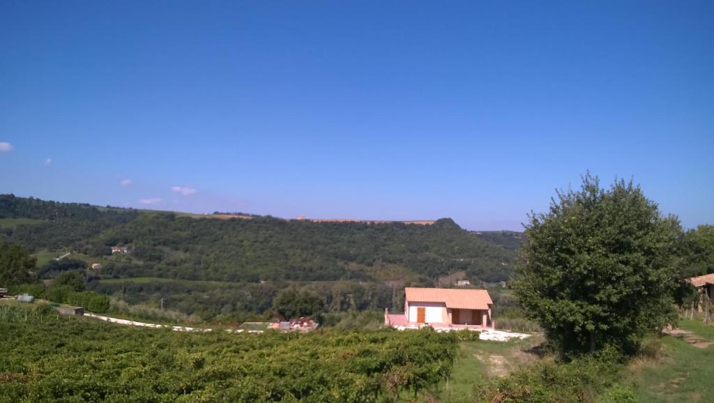 Agriturismo La Vite e L'Ulivo - Apartamento - Planta Baja