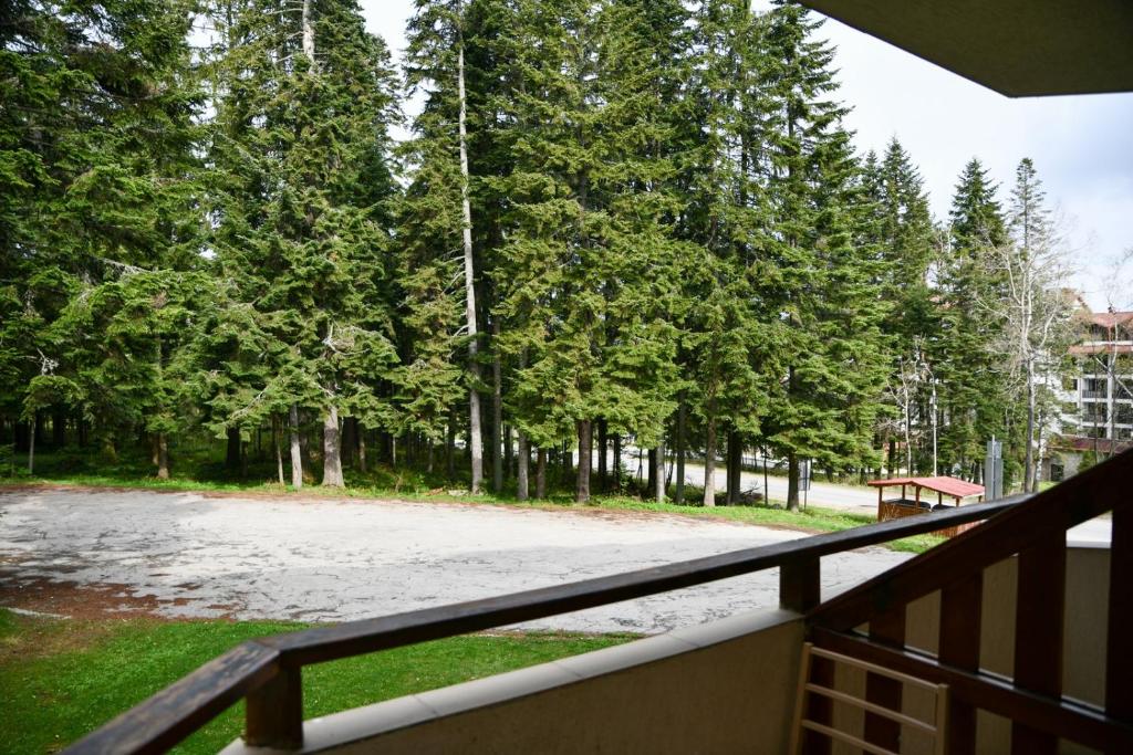 Příroda nedaleko hotelu