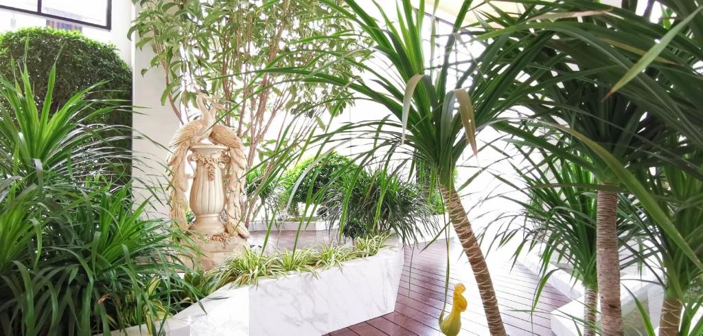 SN Connx - SHA Plus - Resim 20