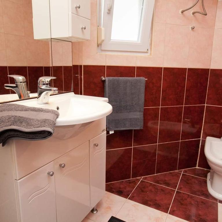 a bathroom with a sink and a toilet at Apartments Ruža Dragove Dugi otok in Dragove
