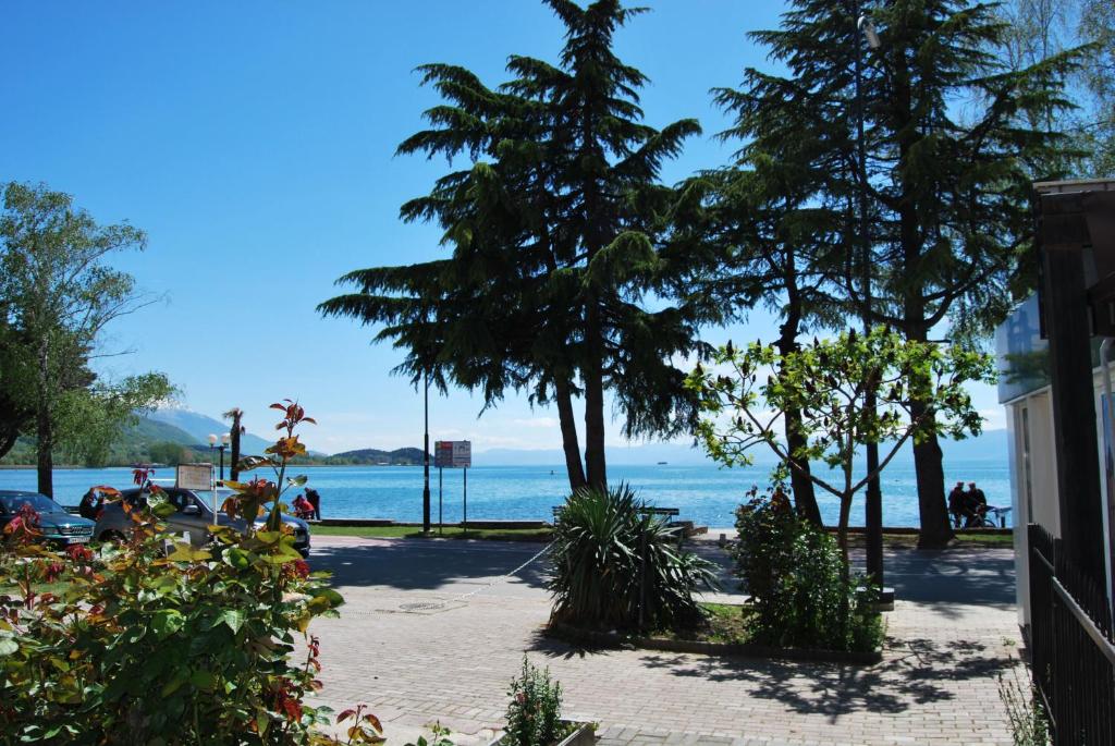 een strand met bomen en de oceaan op de achtergrond bij Vila Delfin in Ohrid