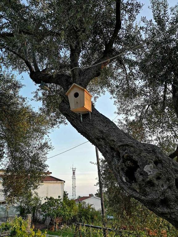 Fotografie z fotogalerie ubytování Apartman Nikocevic v destinaci Dobra Voda
