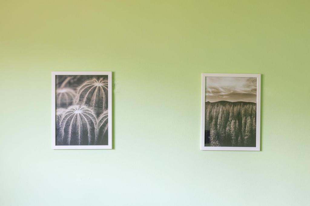 Fotografie z fotogalerie ubytování Oleander Rooms & Apartment v Sofii