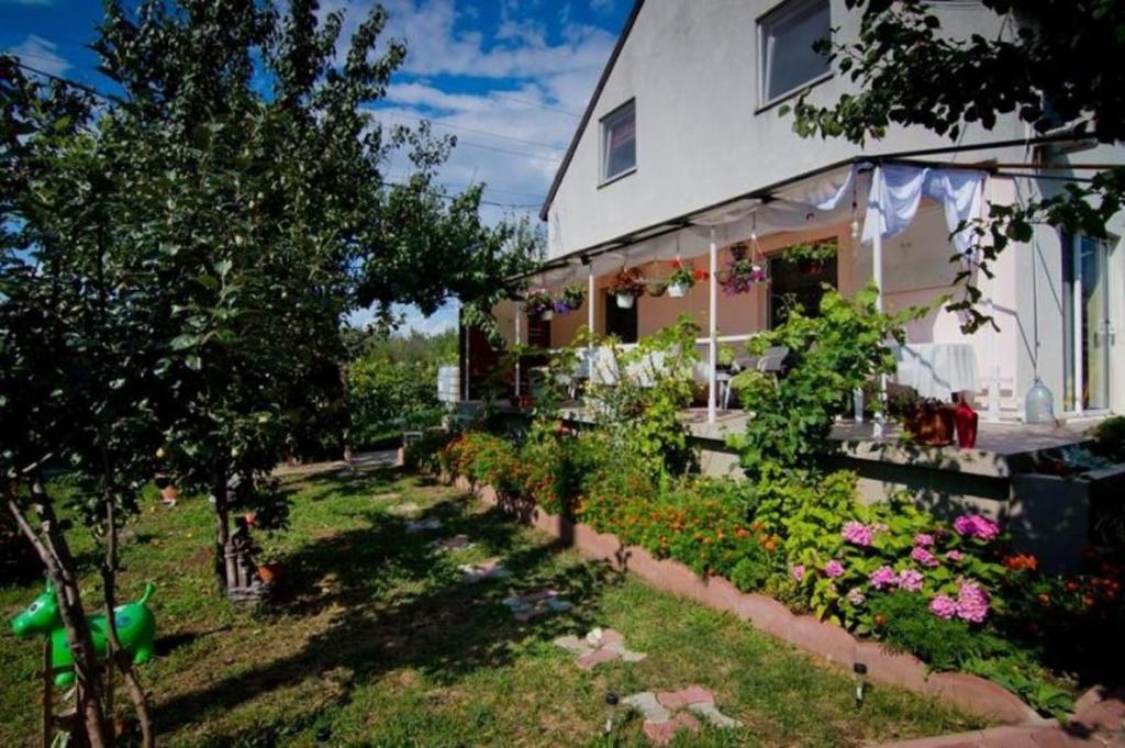 Zahrada ubytování Casa Dany