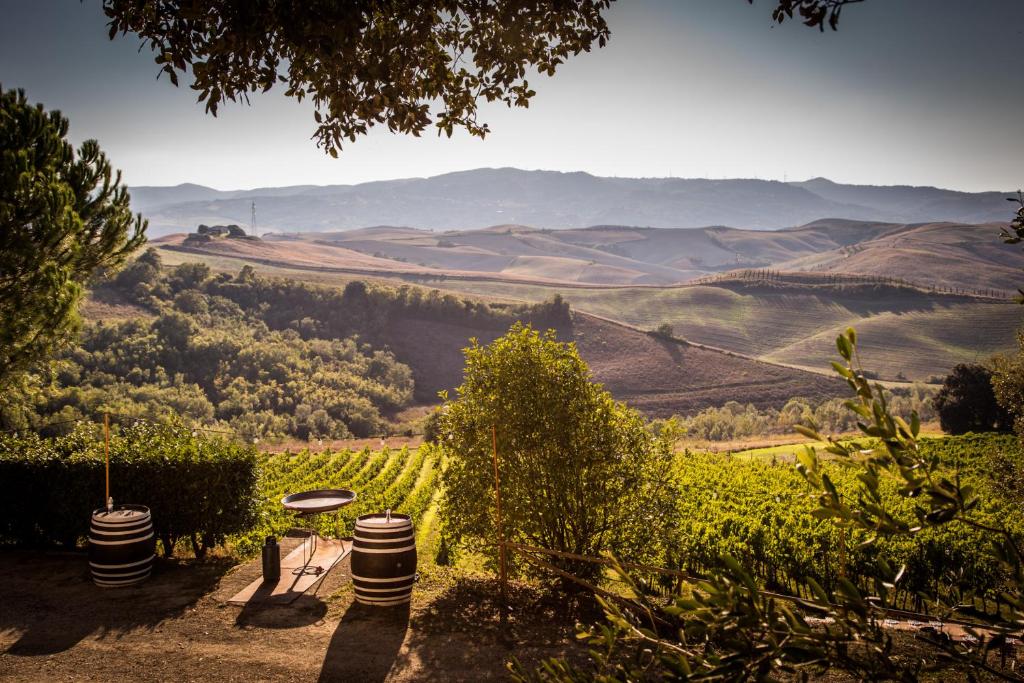TerricciolaにあるAgriturismo Pieve de Pittiのテーブルと椅子が備わるブドウ畑の景色を望めます。