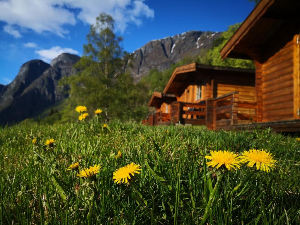 a field of yellow flowers in front of a cabin at Winjum Cabin Aurland Stegastein in Aurland