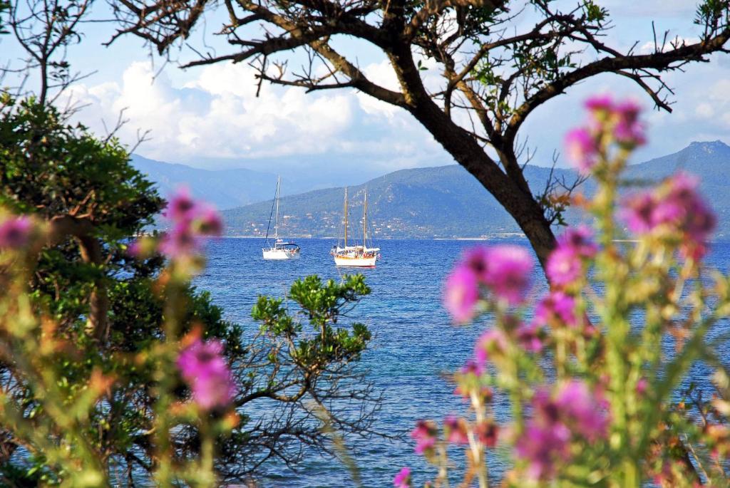 a view of a lake with boats in the water at HOTEL CAMPOMORO in Belvédère-Campomoro