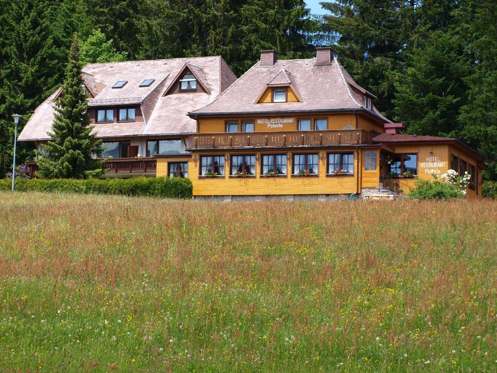 une grande maison en bois au milieu d'un champ dans l'établissement Hotel Restaurant Peterle, à Feldberg
