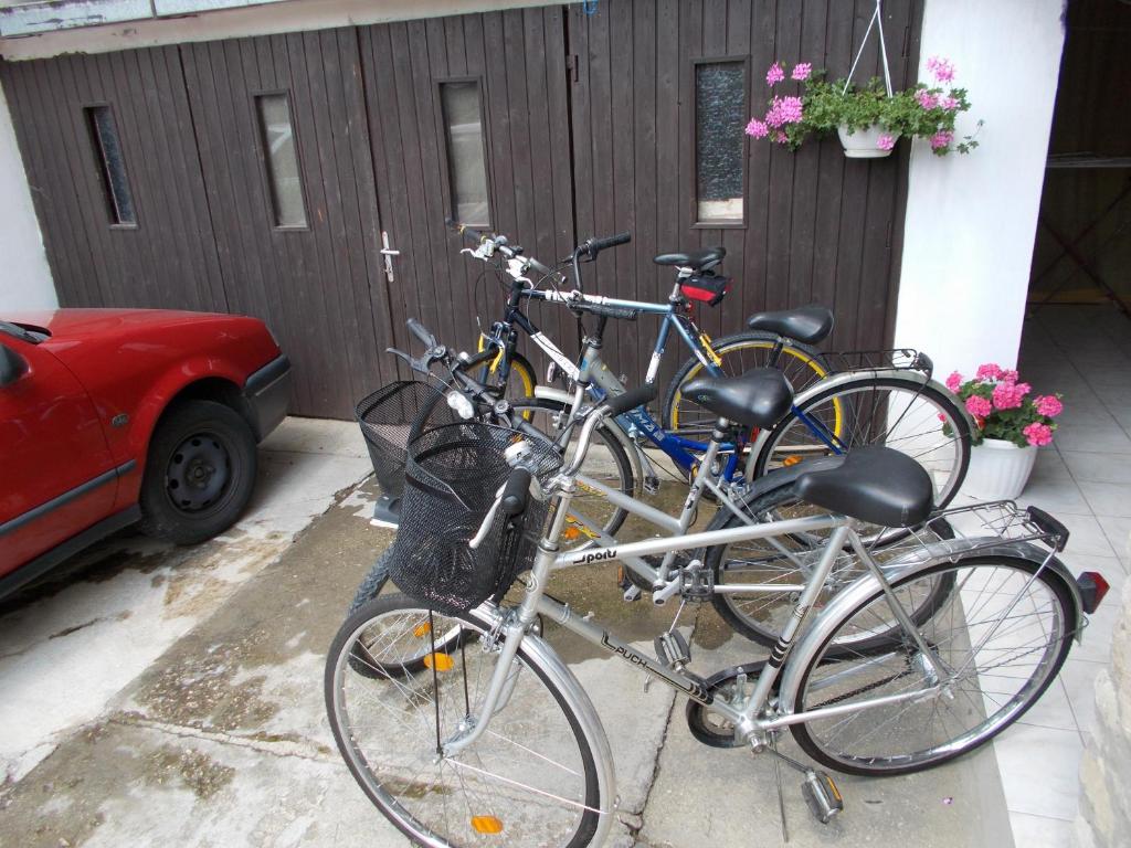Jazda na bicykli v okolí ubytovania Gyöngyi Apartman