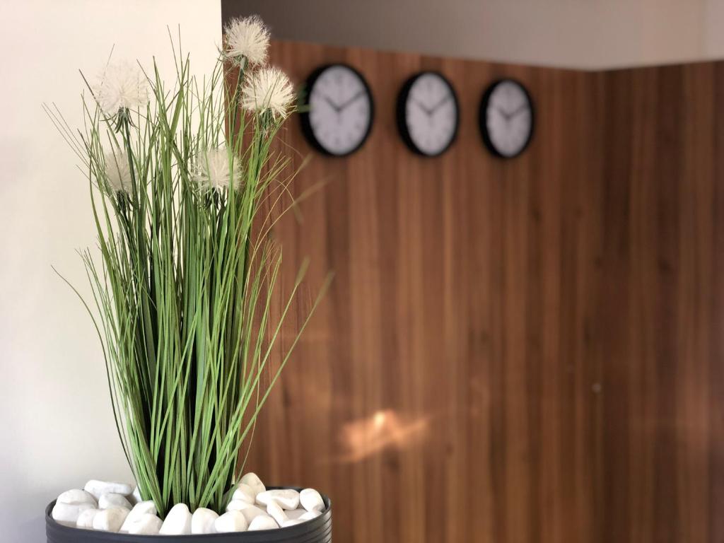 Fotografie z fotogalerie ubytování Hotel Bonus v destinaci Kolomyja