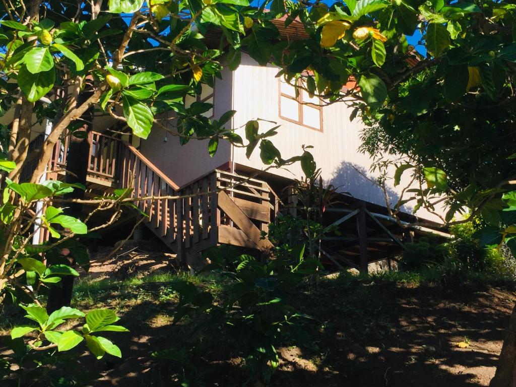 A garden outside Simplicité Marquises