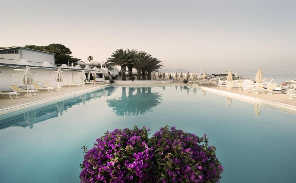 una gran piscina con flores y sillas púrpuras en Circeo Park Hotel, en San Felice Circeo