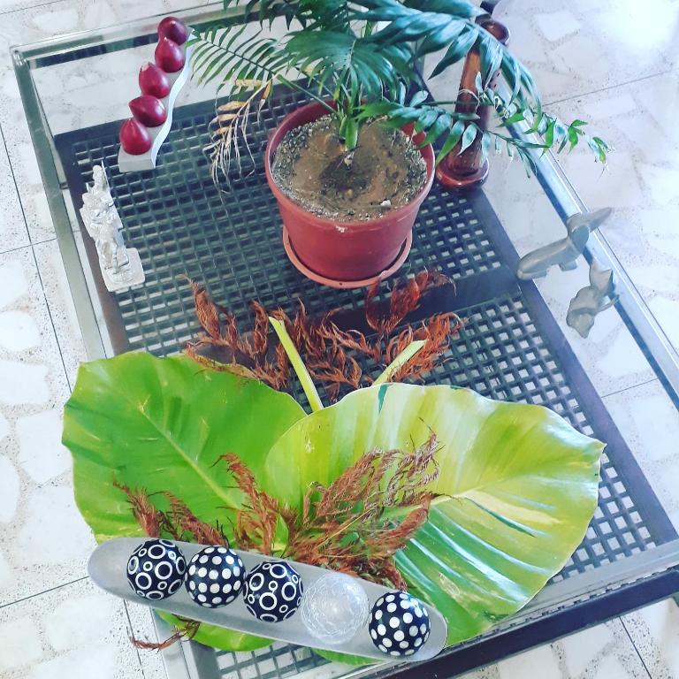  Hostel Recanto Olindense