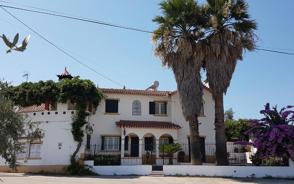 une grande maison blanche avec un palmier dans l'établissement Casa do Cerrado, à Casal da Igreja