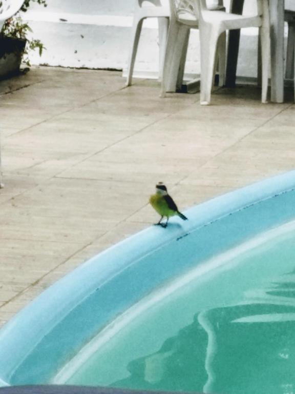  Hospedagem em JACAREPAGUÁ - HOSTEL MATTOS