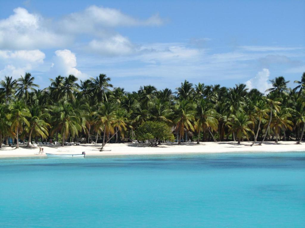 einen Strand mit Palmen und einem Boot im Wasser in der Unterkunft ARCOIRIS SHARE APARTMENT BAVARO PUNTA CANA in Punta Cana