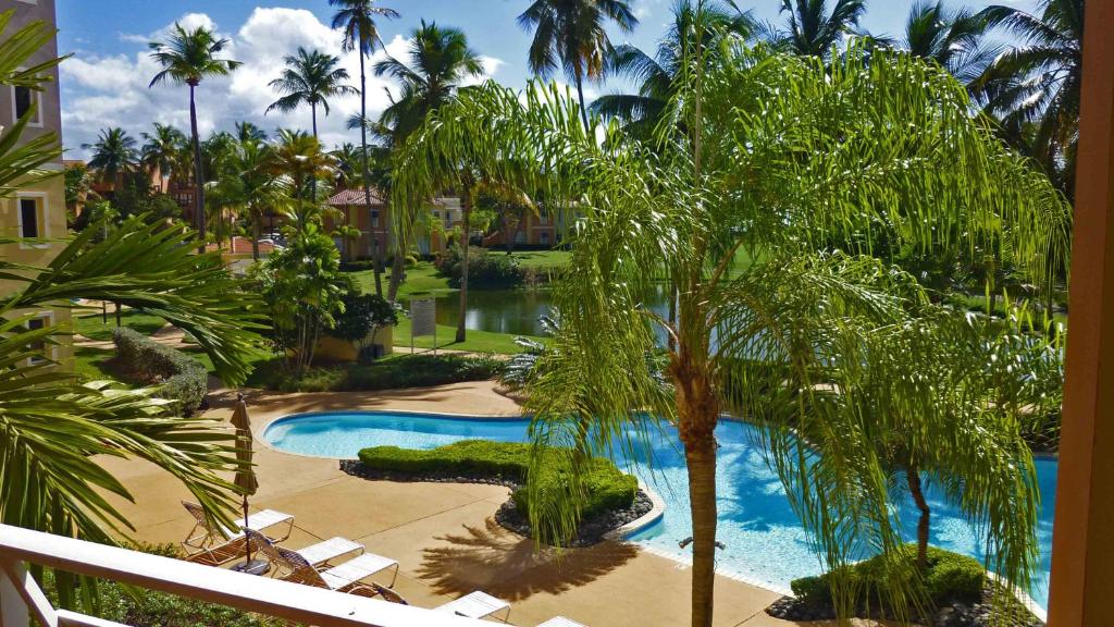 a view of a swimming pool with a palm tree at Palm View in Humacao