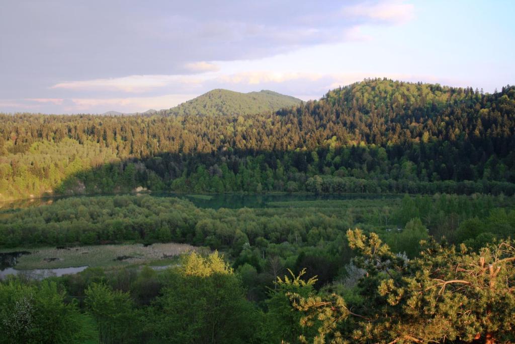 Przyroda w pobliżu tego domu w stylu alpejskim