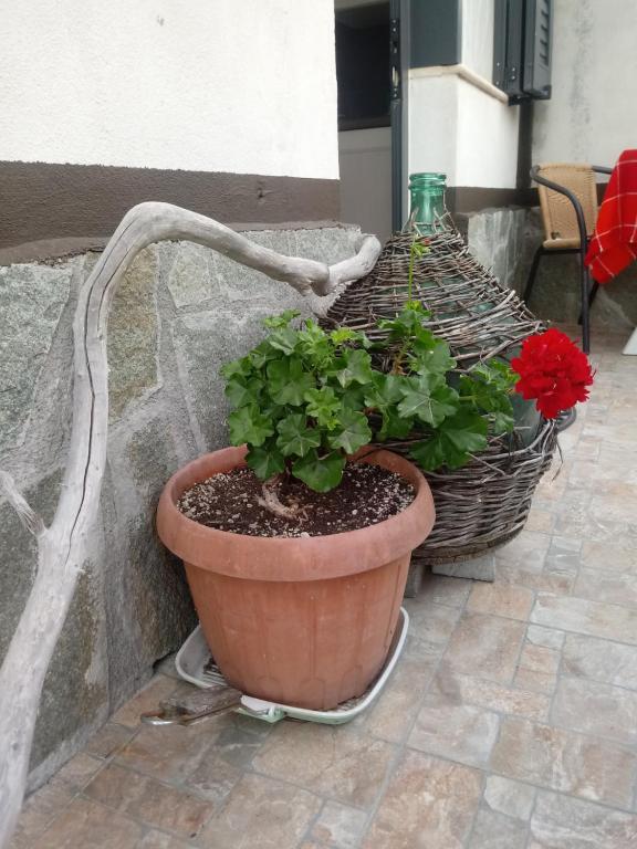 Zdjęcie z galerii obiektu Agriturismo Alla Mal Parata w Albendze