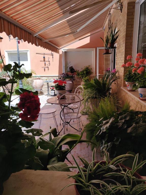 Zahrada ubytování Hotel La Posada