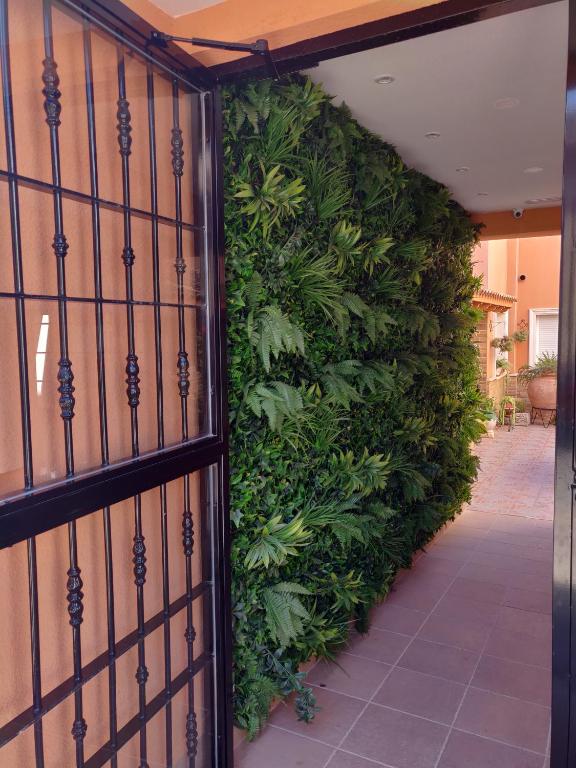 Hotel La Posada, La Palma – Updated 2022 Prices