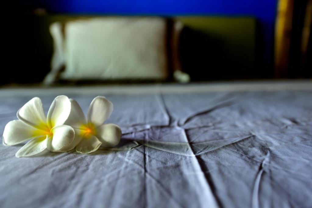 Letto o letti in una camera di Cantika Villa