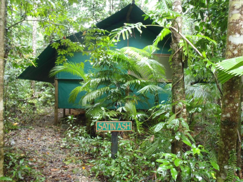 Zahrada ubytování Daintree Crocodylus