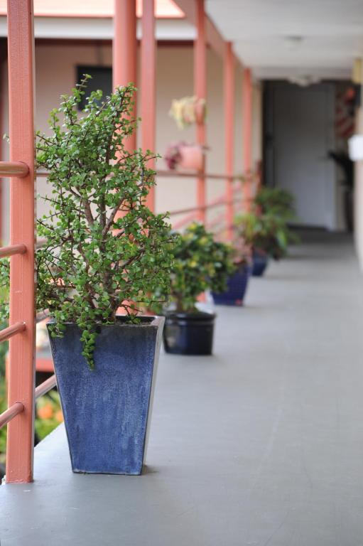 Ascot Epsom Motel - Resim 12