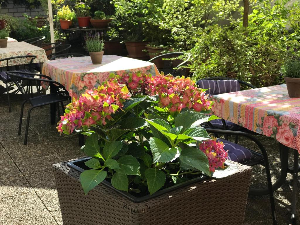 Hotel Cascade Superior - Resim 22