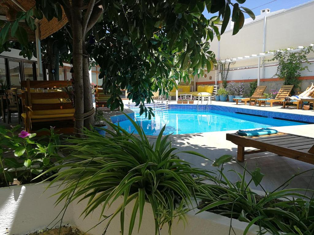 a swimming pool with a bench and a tree at Oya Butik Otel in Bodrum City