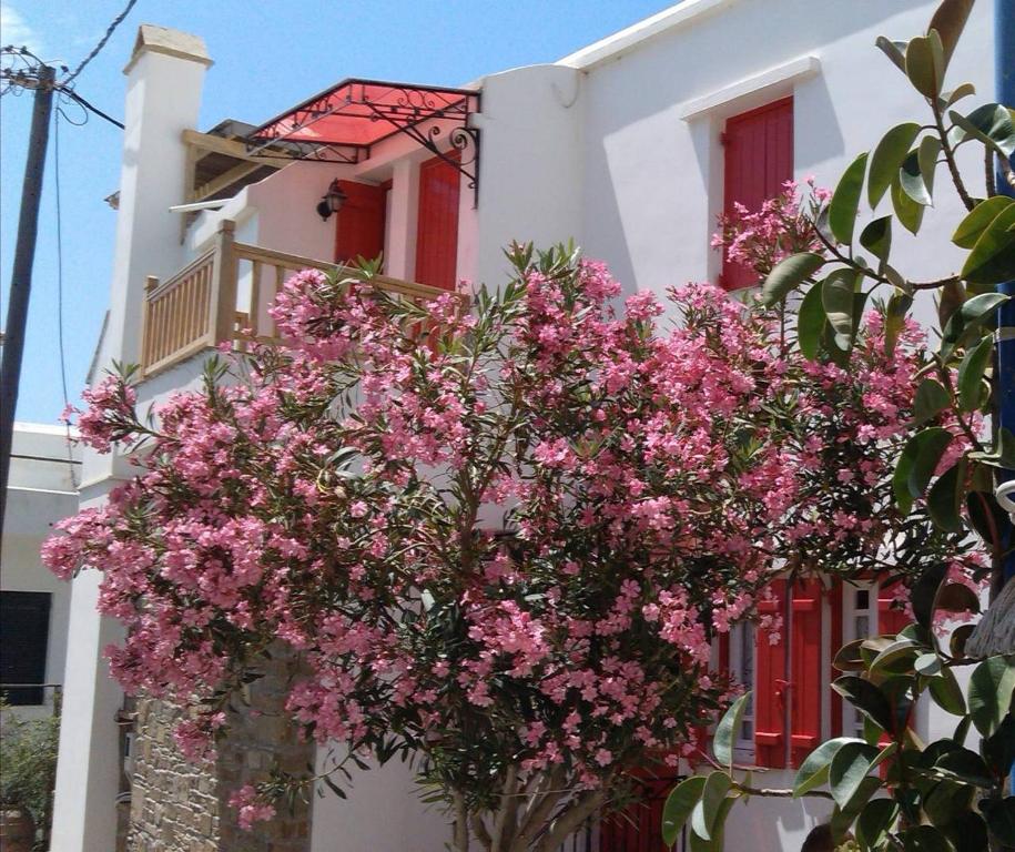 Central Tinos Island Maisonette في تينوس تاون: أمامه بيت أبيض وورود وردية