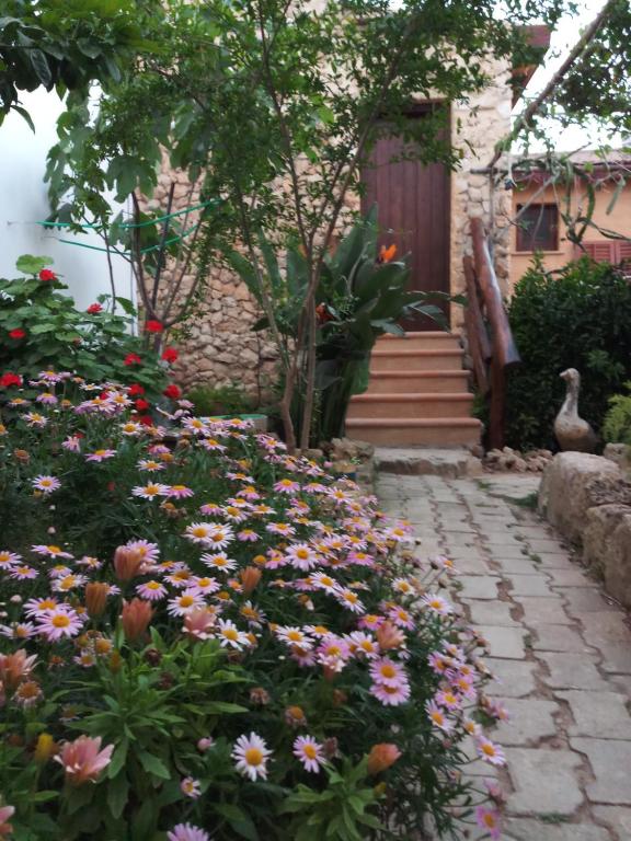 Zahrada ubytování Mystery Garden Guest House