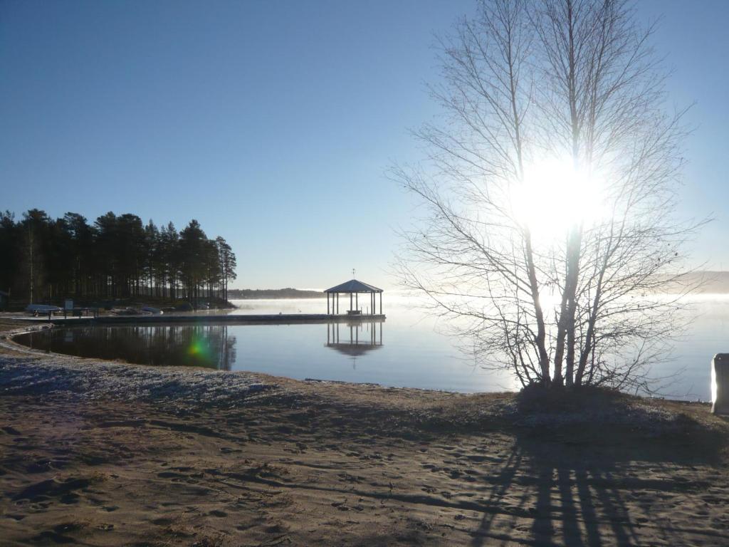 a tree and a gazebo on the shore of a lake at Osensjøen Camping in Valmen