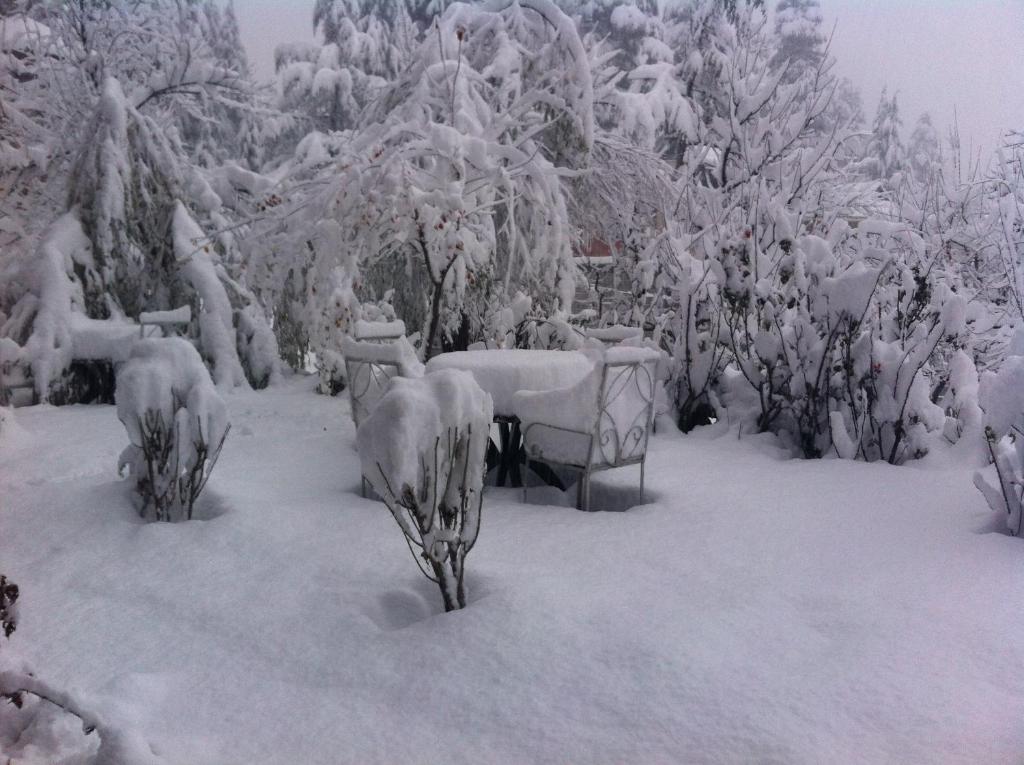 Sparsh Resort, A Boutique Stay - Just 2kms uphill from Mall Road, near Old Manali talvel