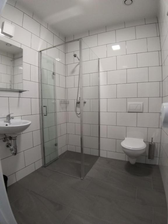 PRZYSTANEK PIENINY - 5