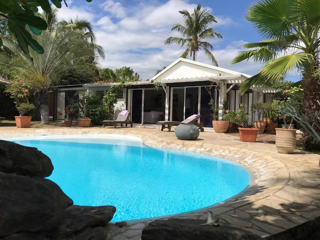 una piscina en un patio trasero con palmeras y una casa en Villa Jasmin avec piscine chauffée à 50m plage et lagon, en Saint-Gilles-les-Bains