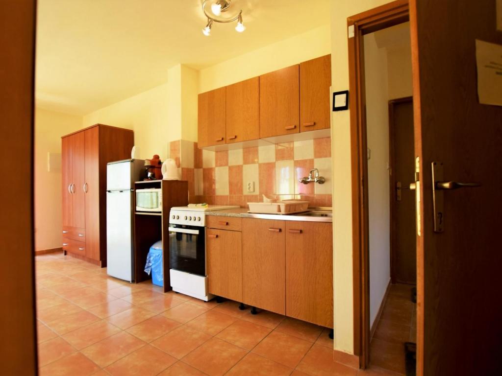 Kuchyň nebo kuchyňský kout v ubytování Apartments Pinka