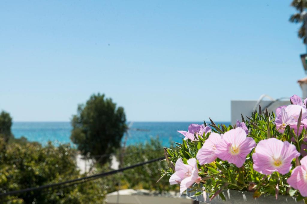 a bunch of pink flowers in a hanging basket at Andreas Studios in Mastichari