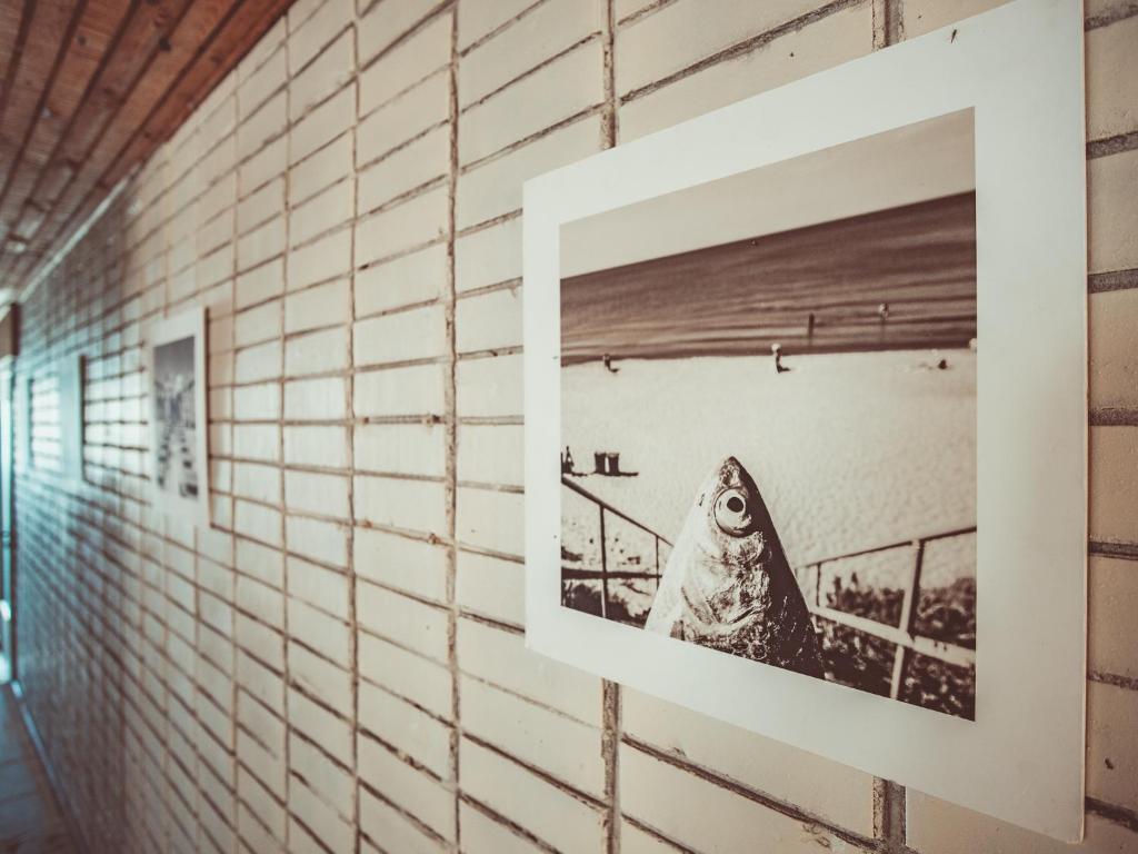 a picture of a shark hanging on a brick wall at Guboja in Nida