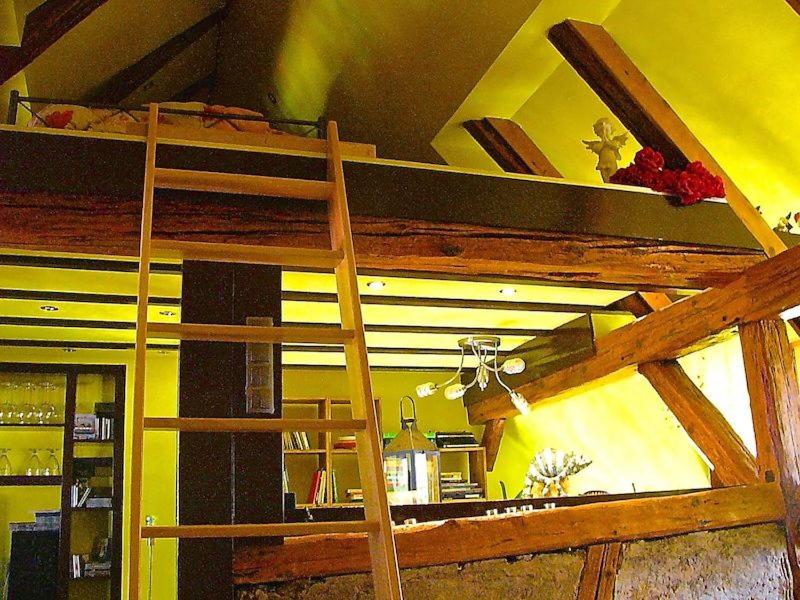 a bunk bed in a room with a ladder at Grüne Franziska in Ettenheim