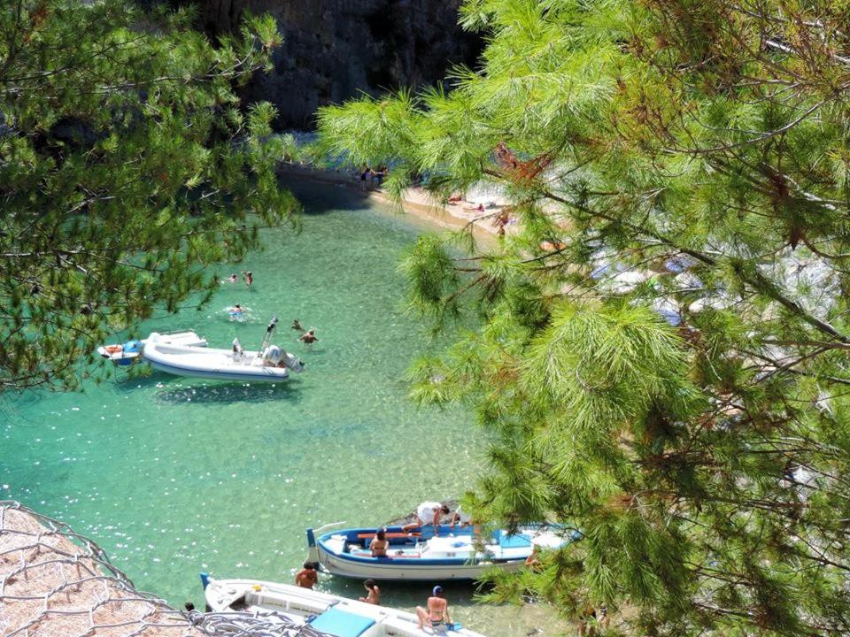 Paesaggio naturale nelle vicinanze del bed & breakfast
