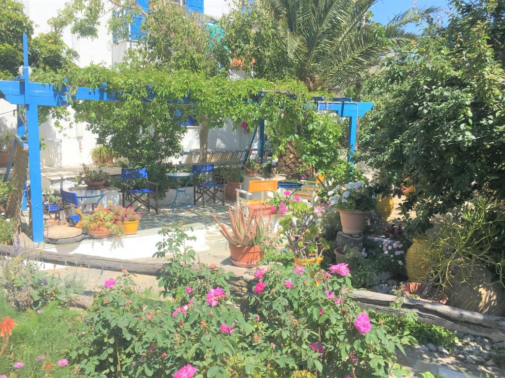 a garden with lots of plants and flowers at Pension Sofia Amorgos-Katapola in Katapola