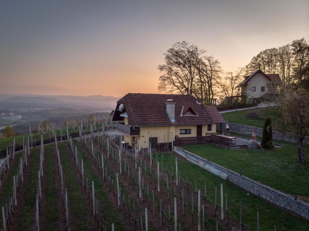 una casa en una colina con un viñedo en Vineyard cottage Hočevar, en Novo Mesto