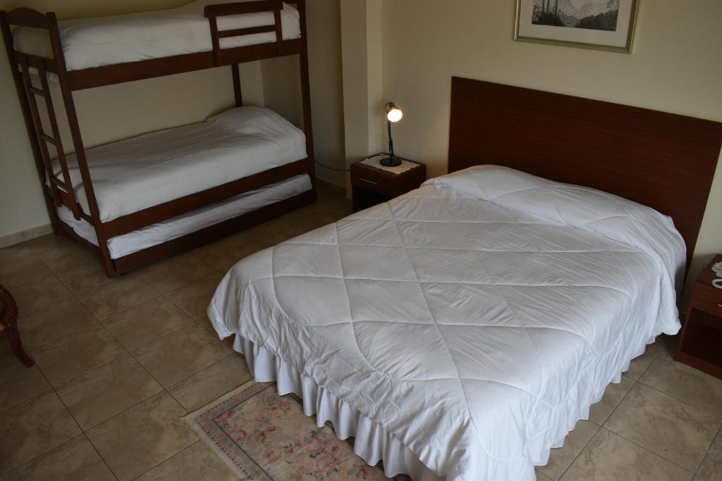Postel nebo postele na pokoji v ubytování Hosteria Palmetto