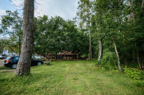 Zahrada ubytování Shekhvetili Cottages 2N